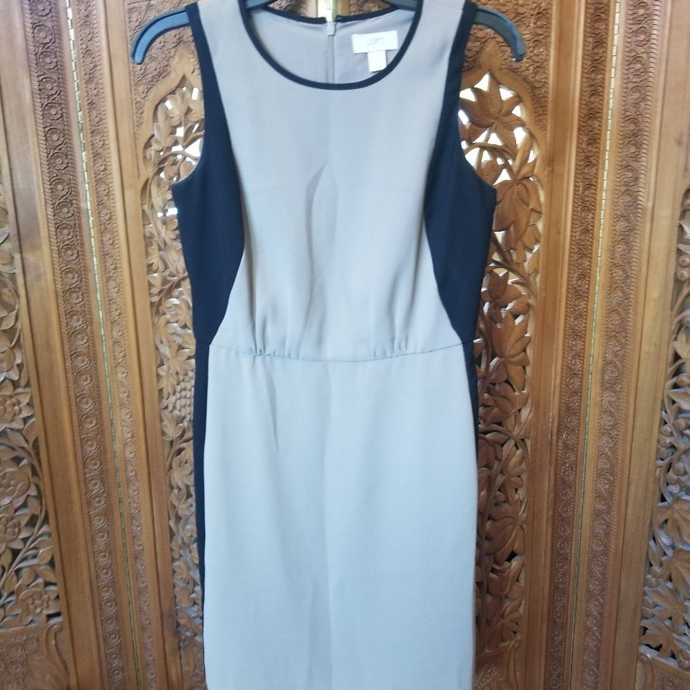 Loft tan/black dress